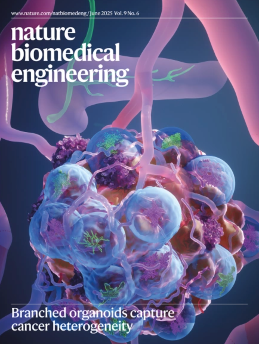 分支状类器官模型揭示胰腺癌异质性图谱