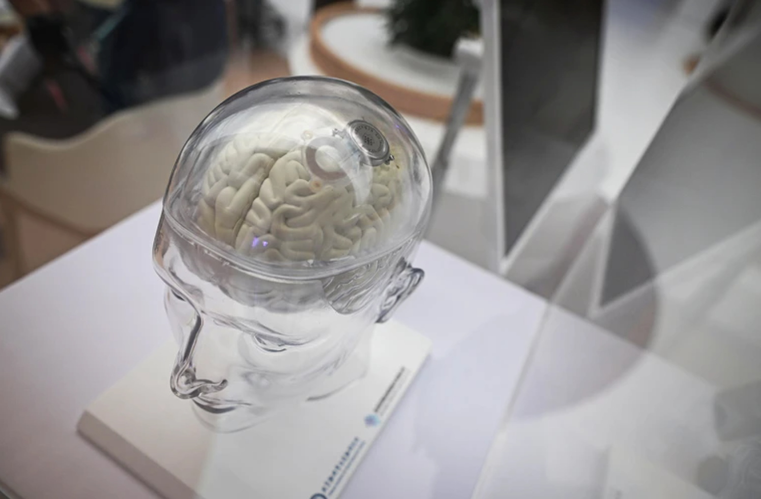 中国投入巨资研发脑芯片，让瘫痪者拥有更多自主权(图4)