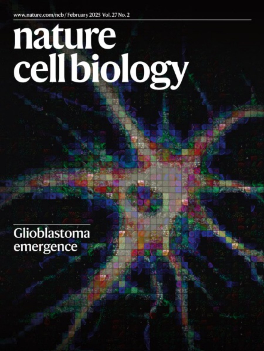 Nature Cell Biology_Volume 27 Issue 2, February 2025 电子版PDF