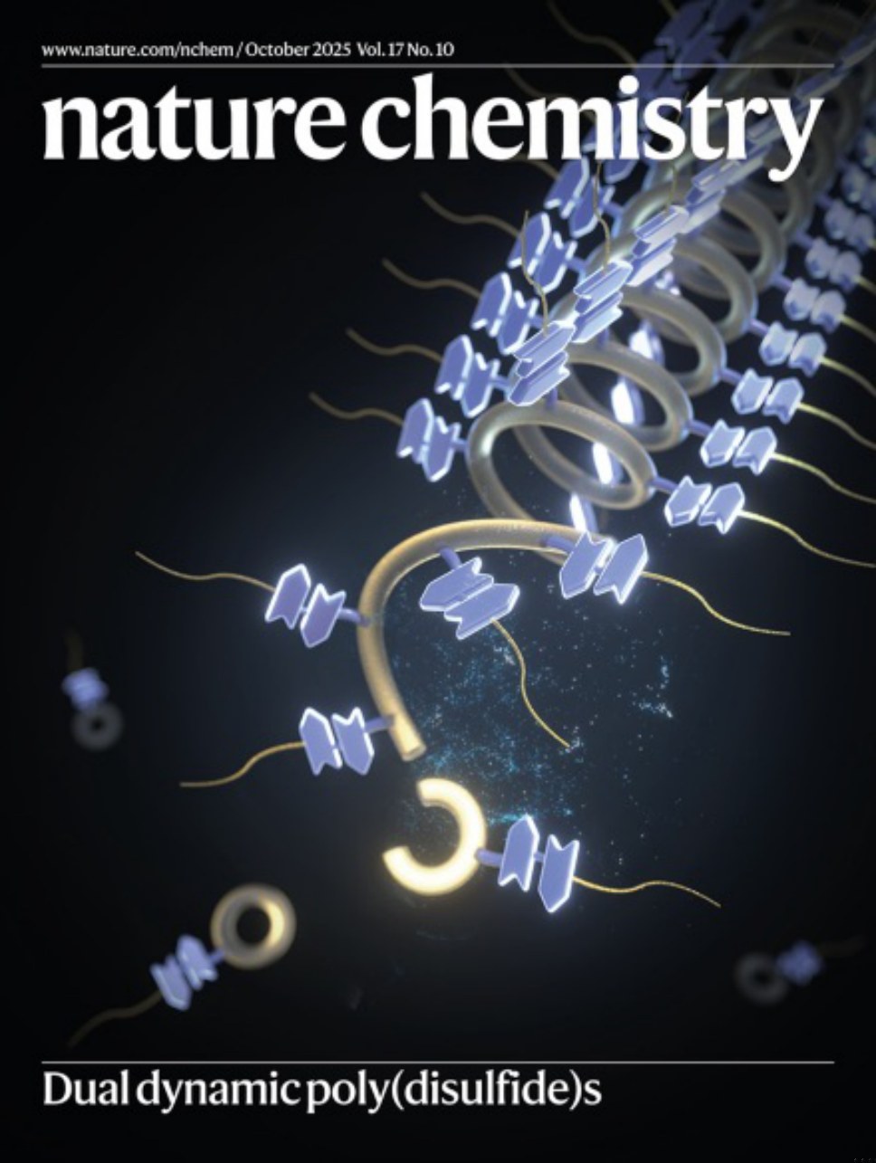 Nature Chemistry-Volume 17 Issue 10, October 2025 电子版PDF(图1)