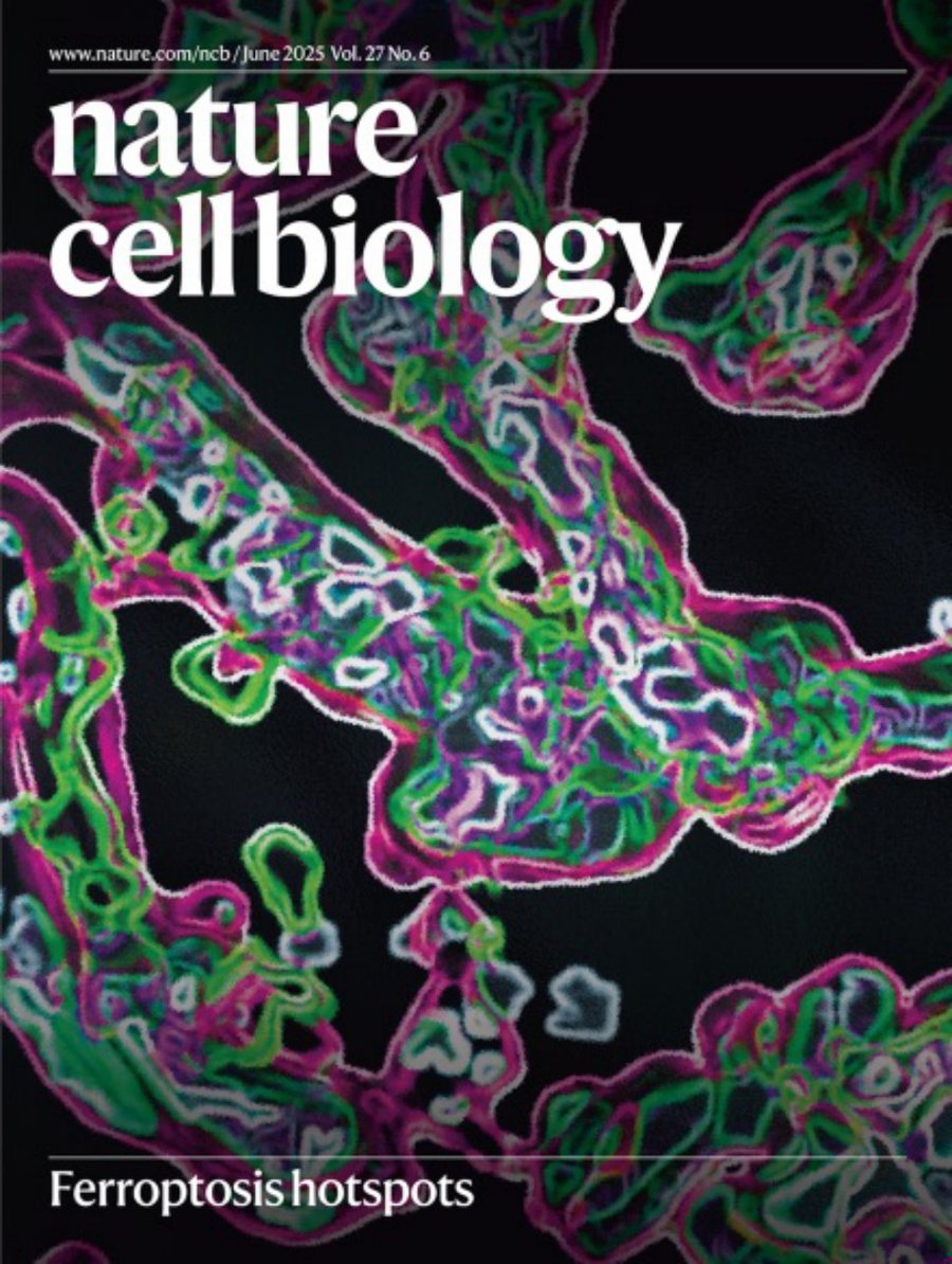 Nature Cell Biology-Volume 27 Issue 6, June 2025 电子版PDF