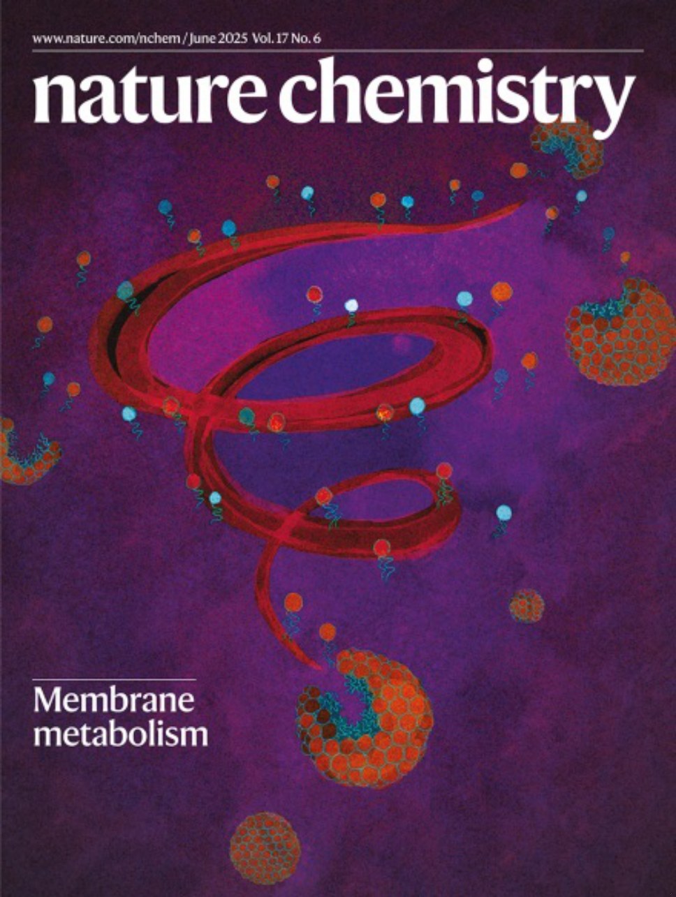 Nature Chemistry-Volume 17 Issue 6, June 2025 电子版PDF(图1)