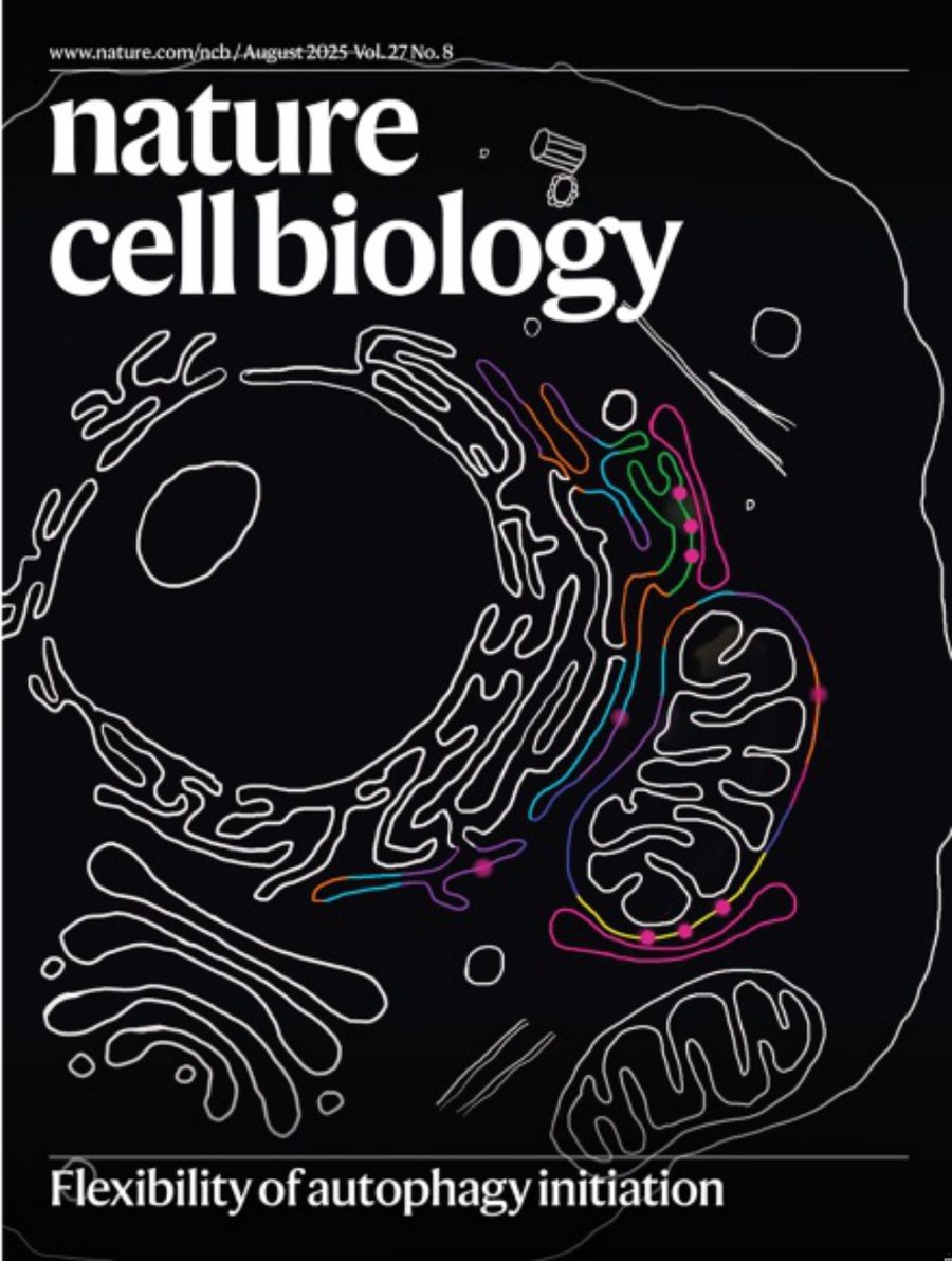 Nature Cell Biology-Volume 27 Issue 8, August 2025 电子版PDF