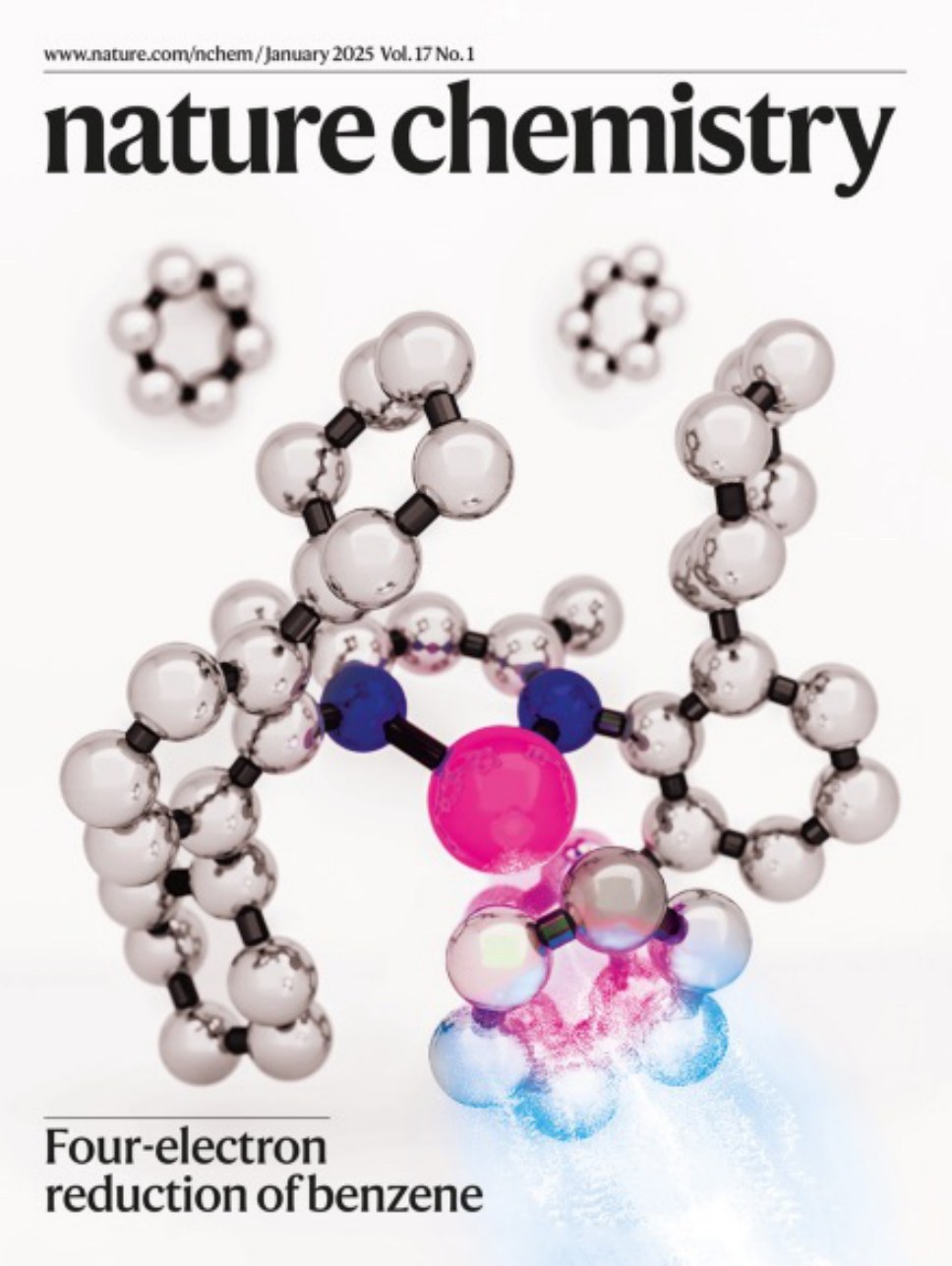 Nature Chemistry_Volume 17 Issue 1, January 2025 电子版PDF(图1)