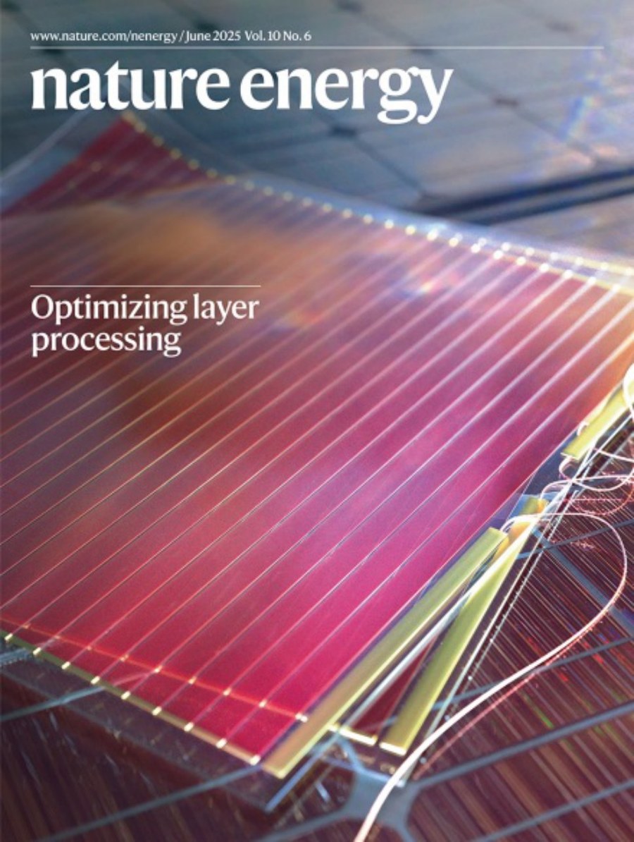 Nature Energy-Volume 10 Issue 6, June 2025 电子版PDF