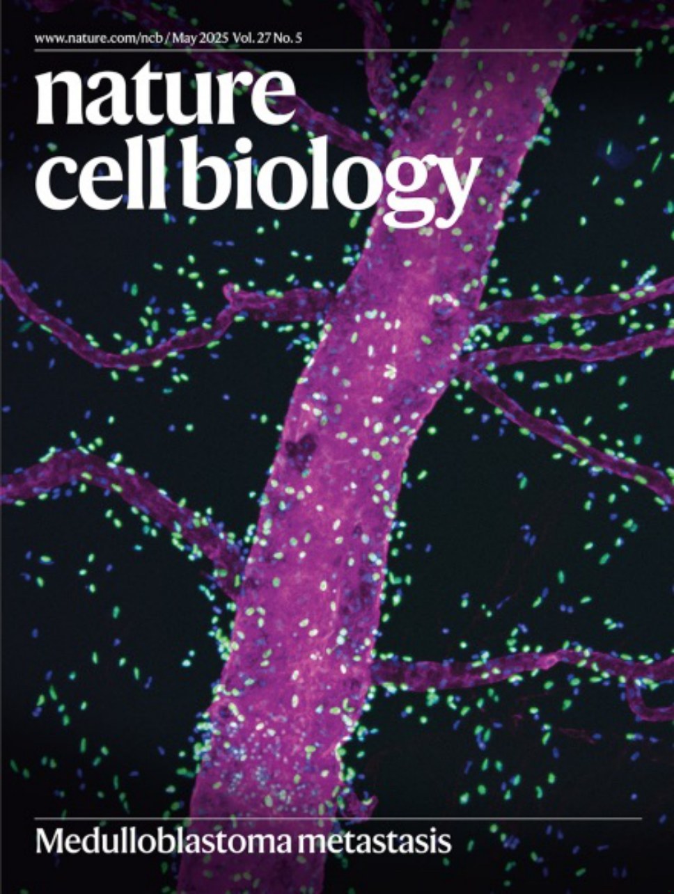 Nature Cell Biology-Volume 27 Issue 5, May 2025 电子版PDF(图1)