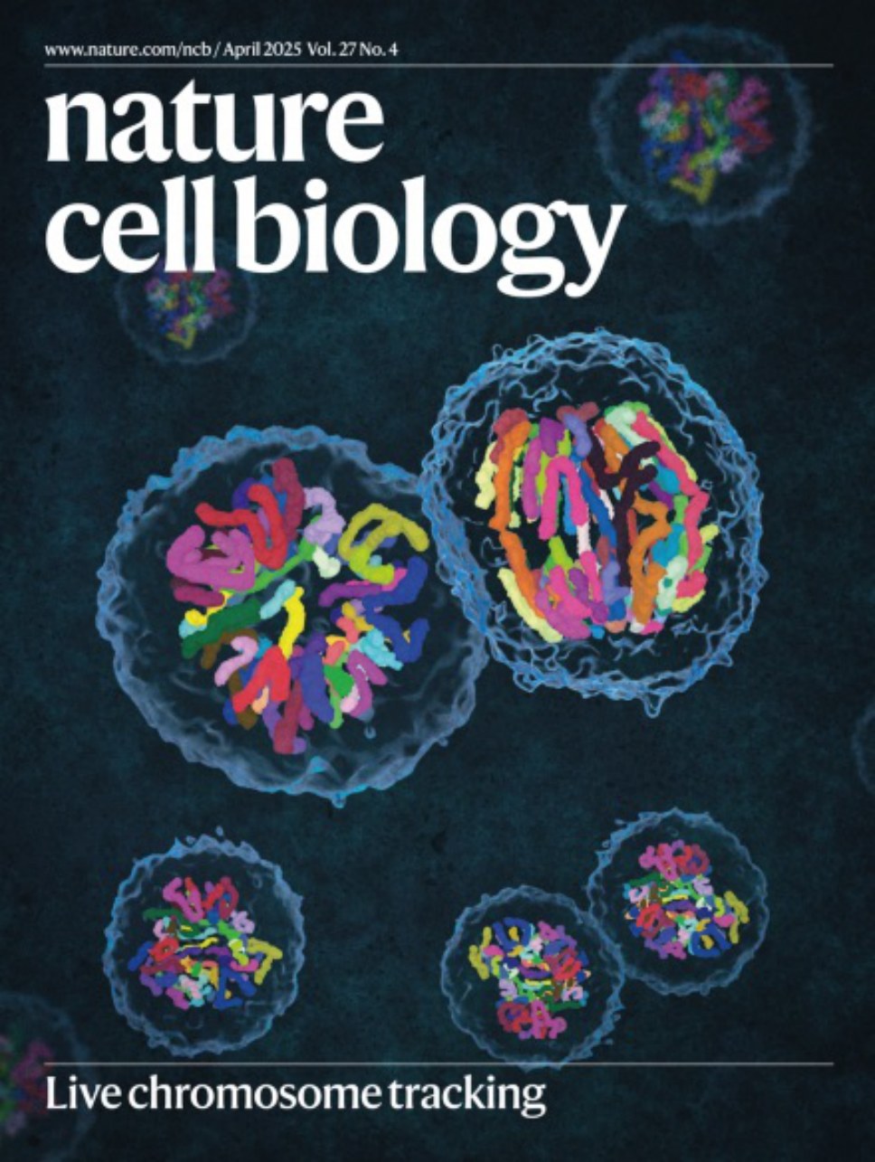 Nature Cell Biology_Volume 27 Issue 4, April 2025 电子版PDF(图1)