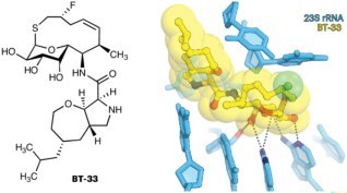 Nature Chemistry_Volume 17 Issue 4, April 2025 电子版PDF