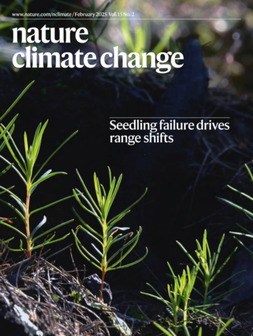 Nature Climate Change_Volume 15 Issue 2, February 2025 电子版PDF(图1)