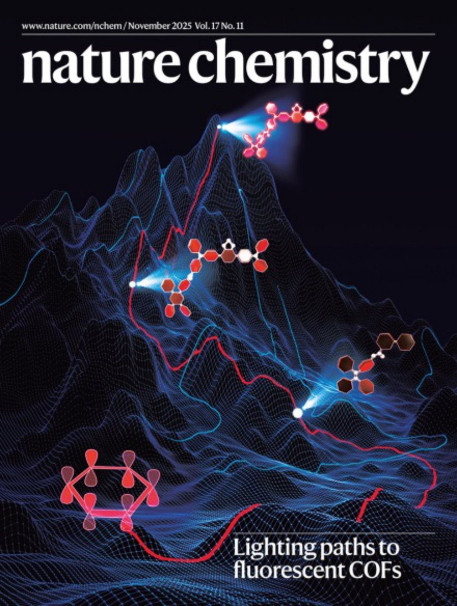 Nature Chemistry-Volume 17 Issue 11, November 2025 电子版PDF