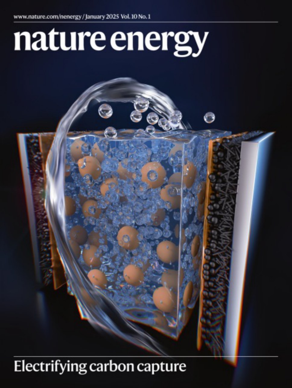 Nature Energy_Volume 10 Issue 1, January 2025 电子版PDF(图1)