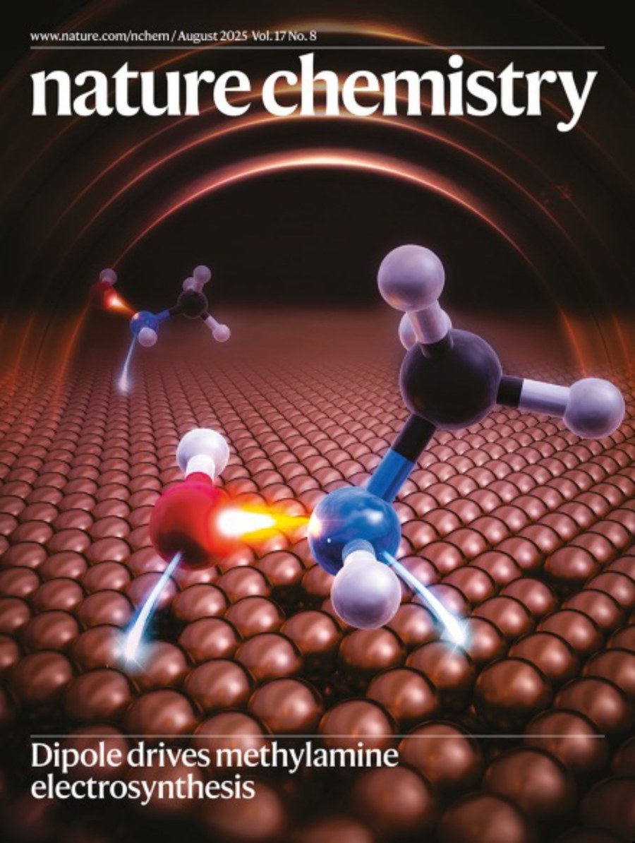 Nature Chemistry-Volume 17 Issue 8, August 2025 电子版PDF