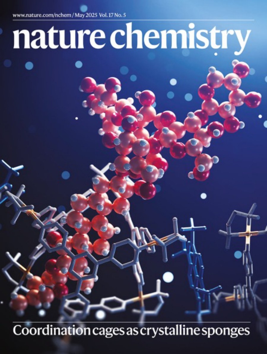 Nature Chemistry-Volume 17 Issue 5, May 2025 电子版PDF