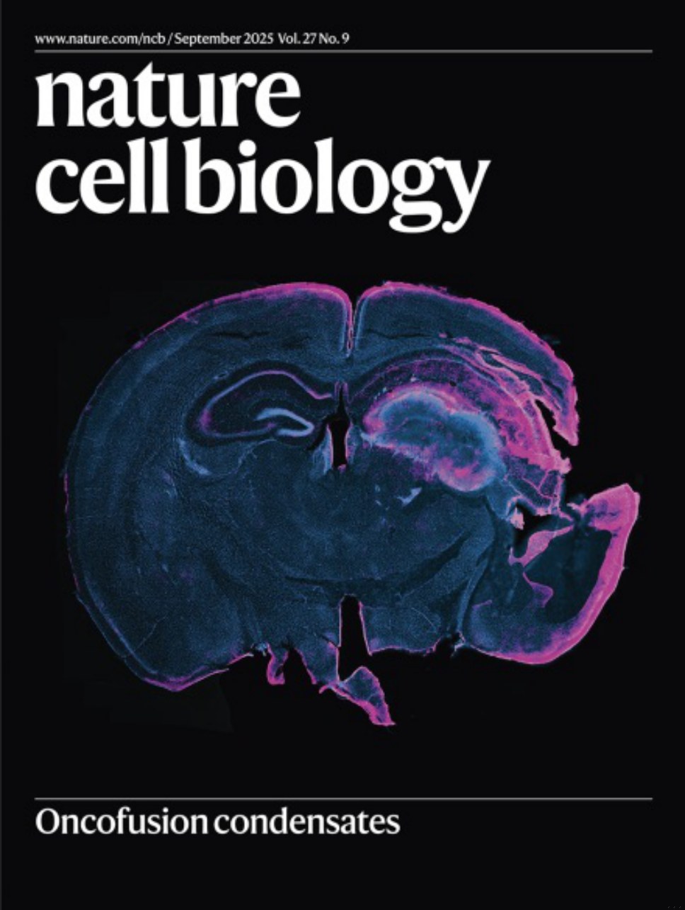 Nature Cell Biology-Volume 27 Issue 9, September 2025 电子版PDF(图1)