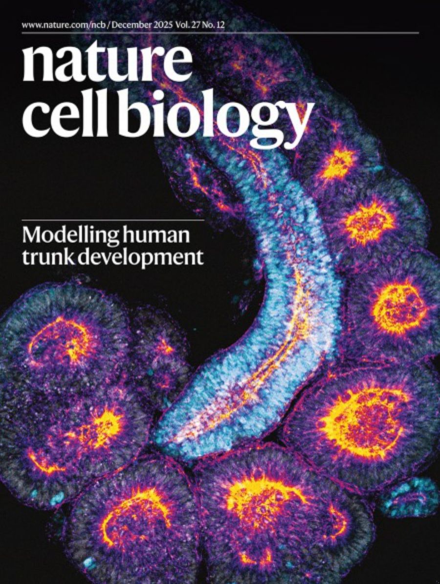 Nature Cell Biology-Volume 27 Issue 12, December 2025 电子版PDF
