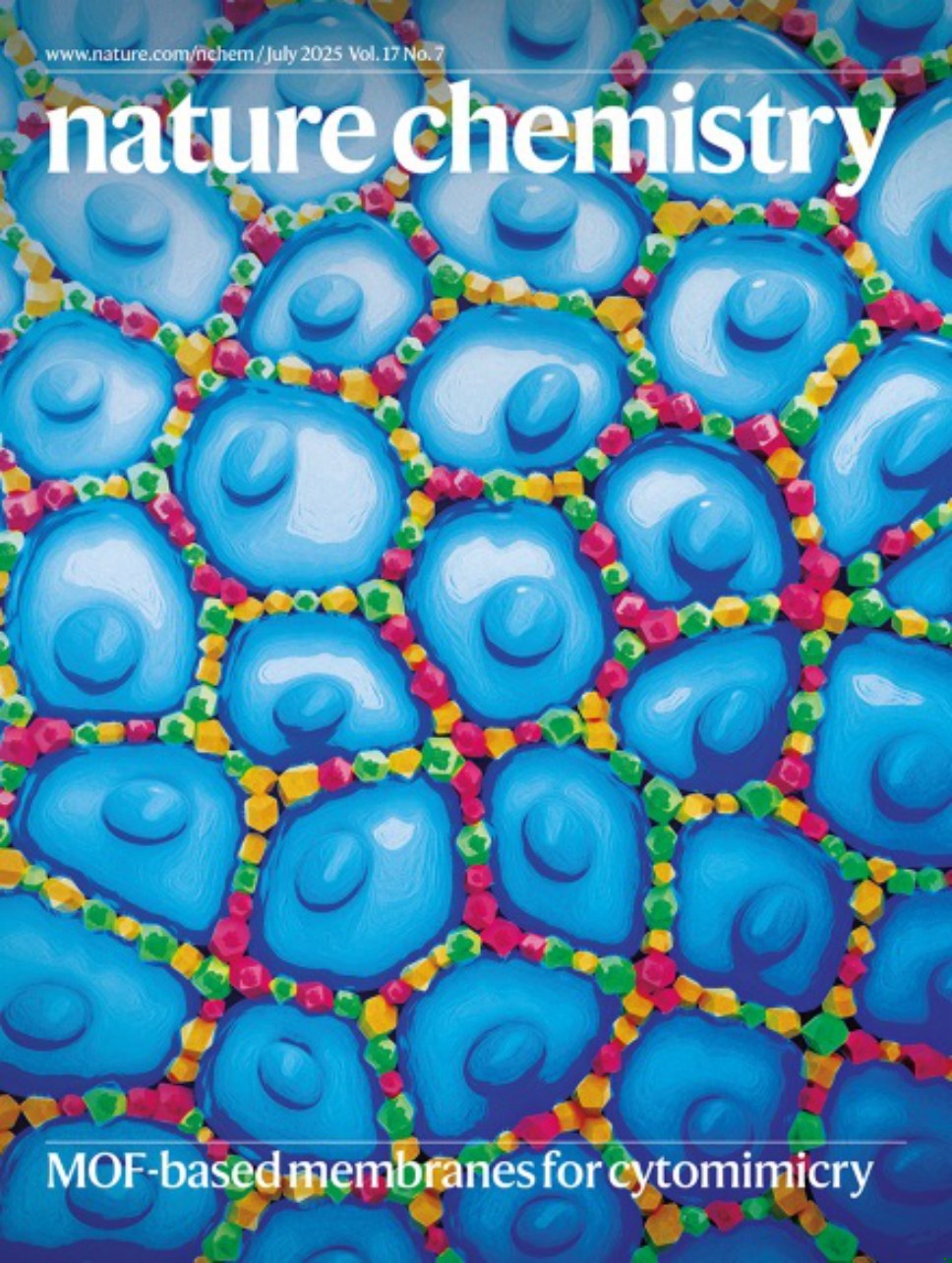 Nature Chemistry-Volume 17 Issue 7, July 2025 电子版PDF(图1)