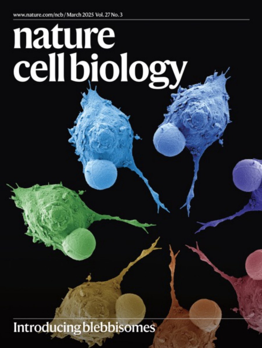 Nature Cell Biology_Volume 27 Issue 3, March 2025 电子版PDF