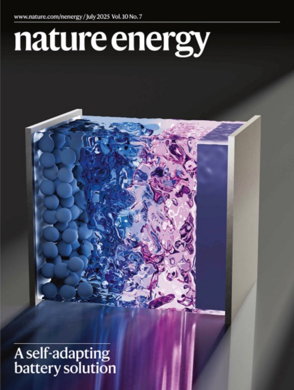 Nature Energy-Volume 10 Issue 7, July 2025 电子版PDF(图1)