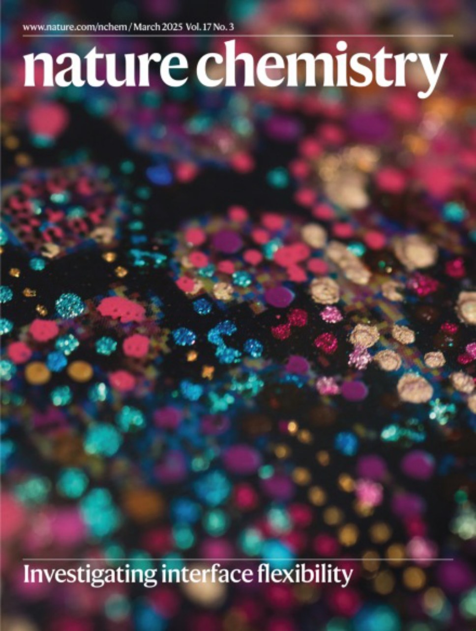 Nature Chemistry_Volume 17 Issue 3, March 2025 电子版PDF(图1)