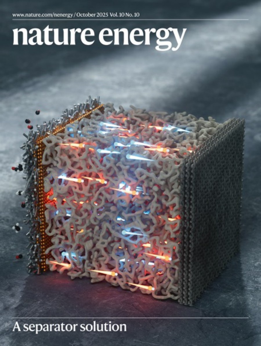 Nature Energy-Volume 10 Issue 10, October 2025 电子版PDF