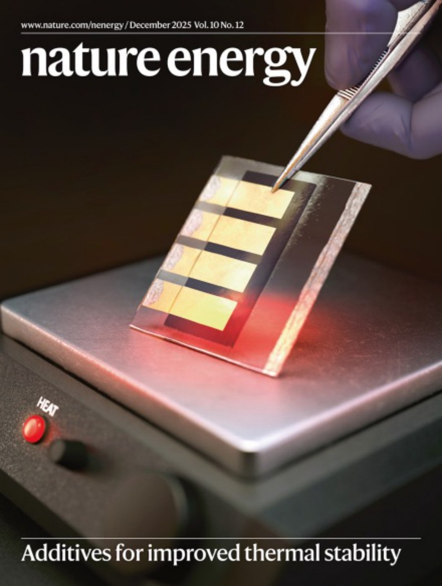 Nature Energy-Volume 10 Issue 12, December 2025 电子版PDF