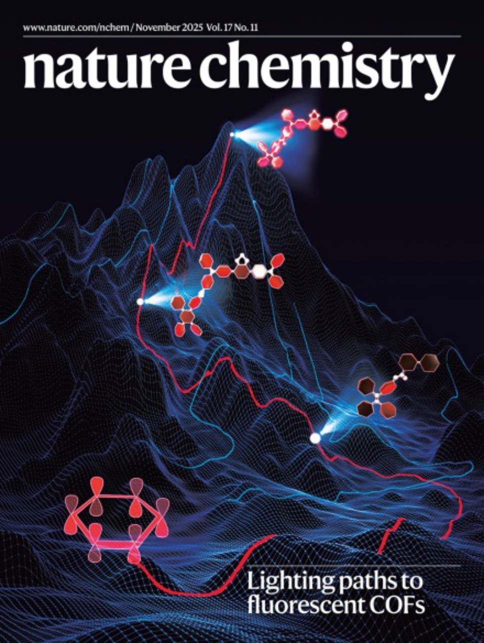 Nature Chemistry-Volume 17 Issue 11, November 2025 电子版PDF(图1)