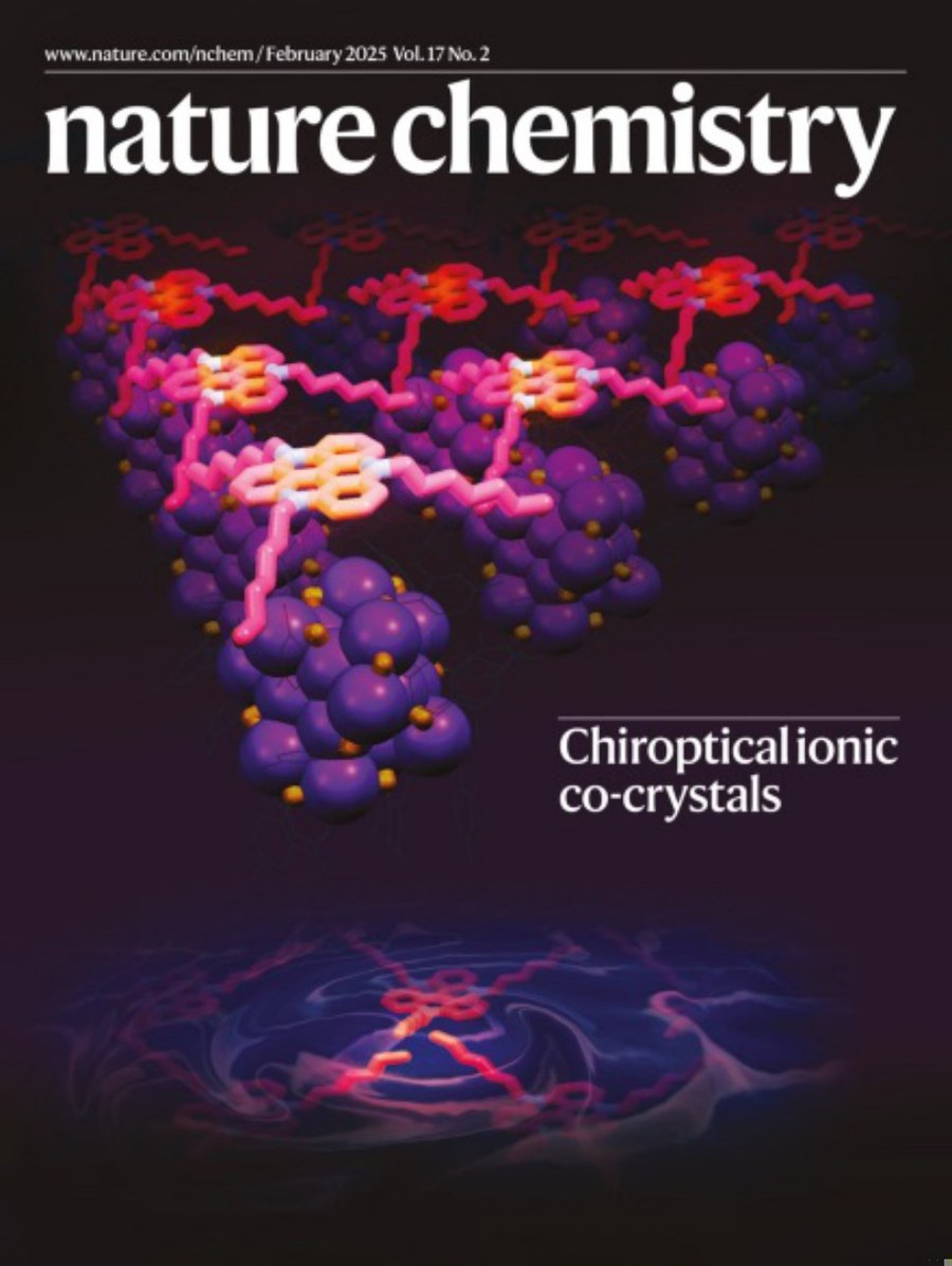 Nature Chemistry_Volume 17 Issue 2, February 2025 电子版PDF