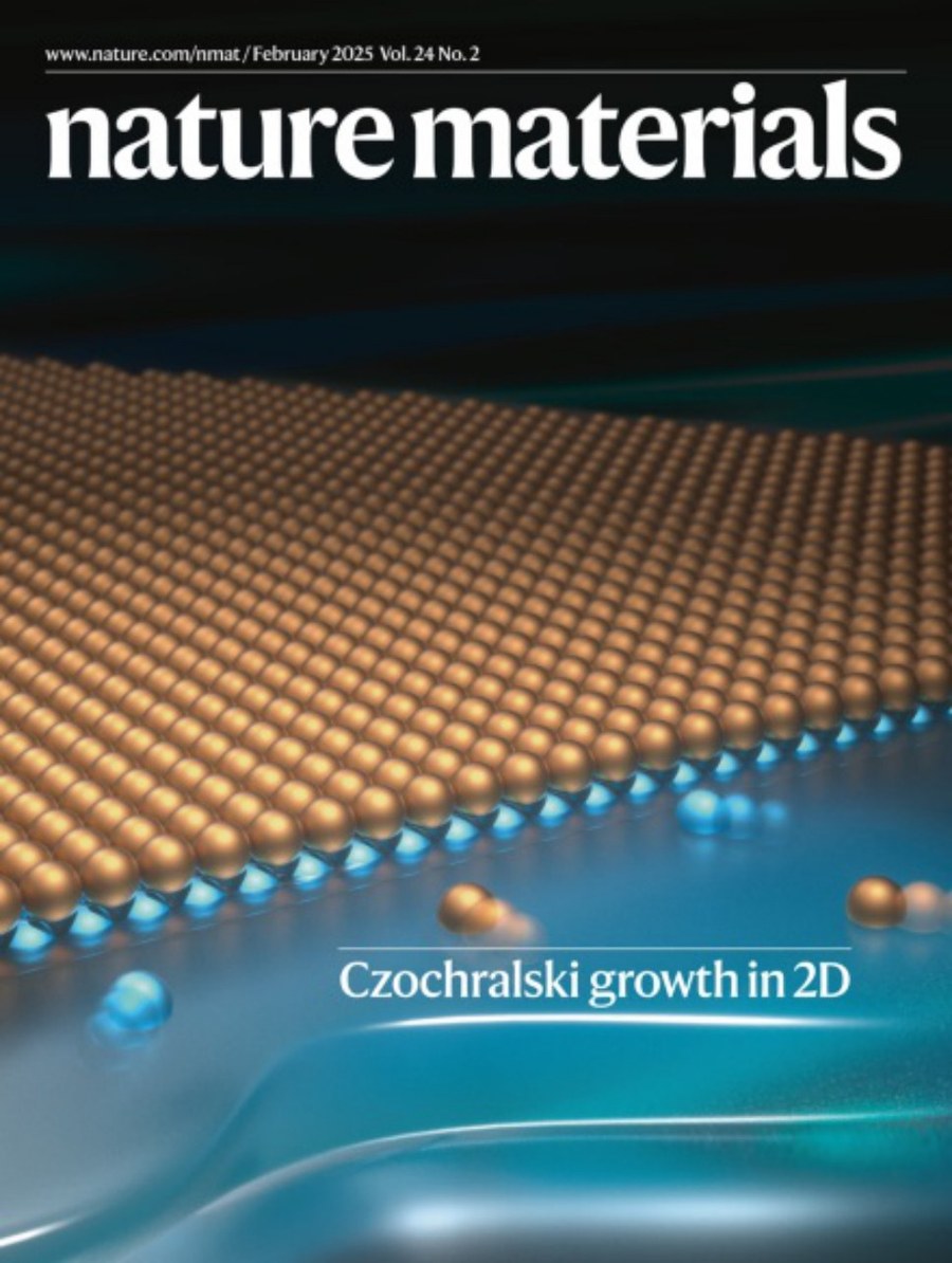 Nature Materials_Volume 24 Issue 2, February 2025 电子版PDF