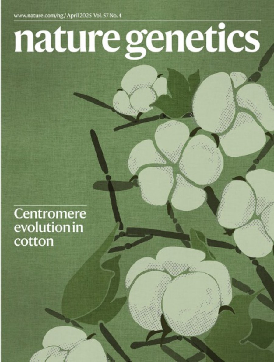 Nature Genetics_Volume 57 Issue 4, April 2025 电子版PDF