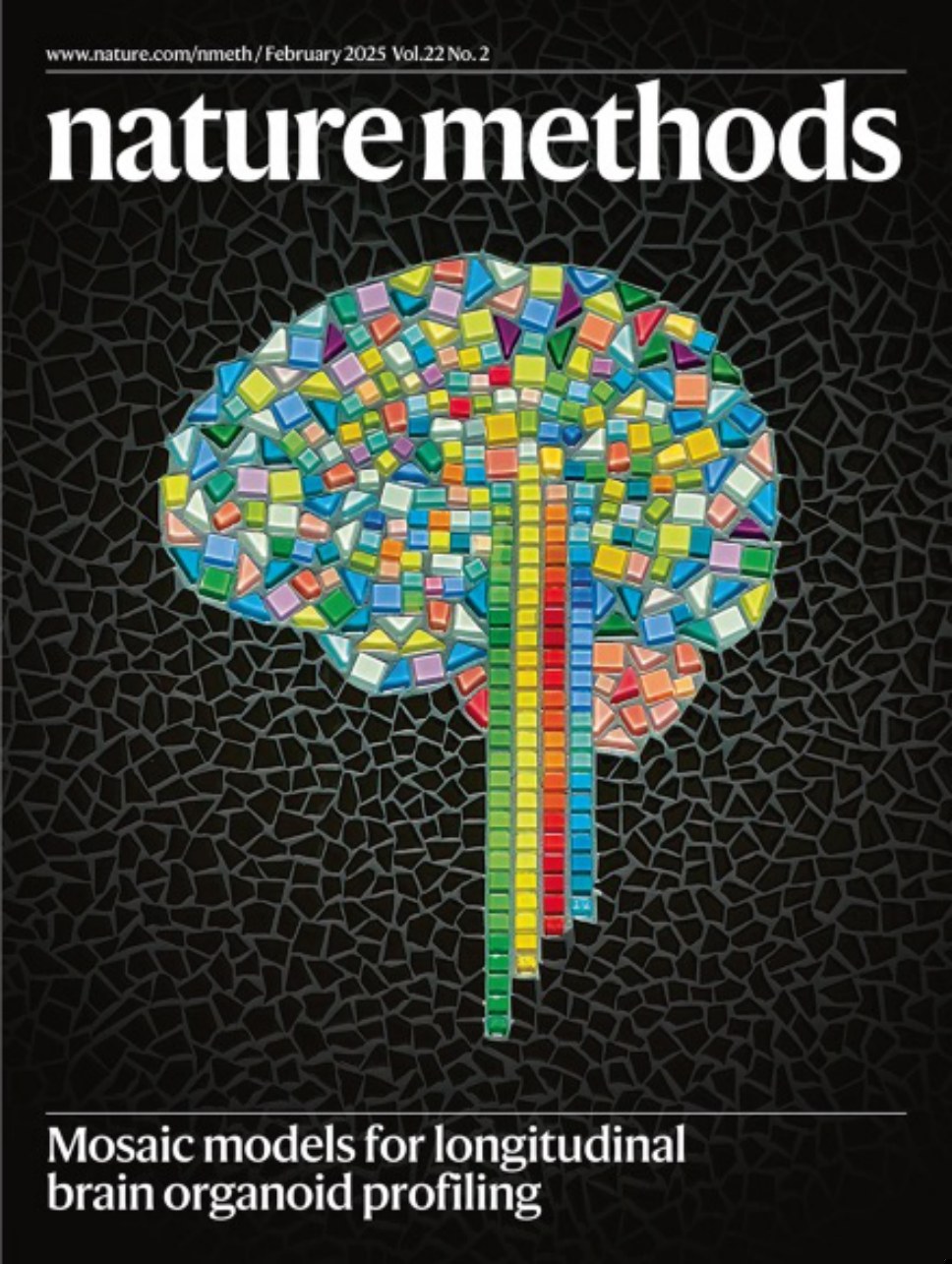 Nature Methods_Volume 22 Issue 2, February 2025 电子版PDF(图1)