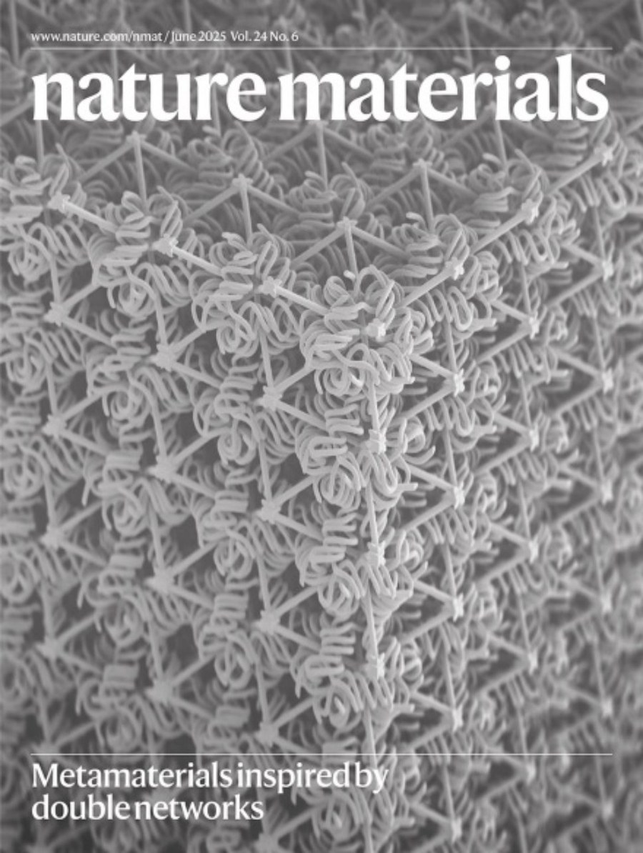 Nature Materials-Volume 24 Issue 6, June 2025 电子版PDF