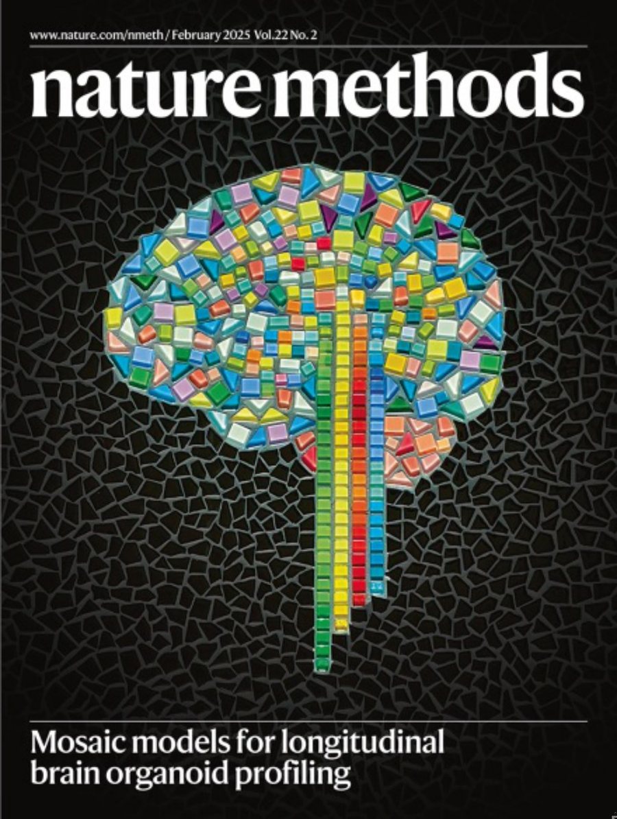 Nature Methods_Volume 22 Issue 2, February 2025 电子版PDF