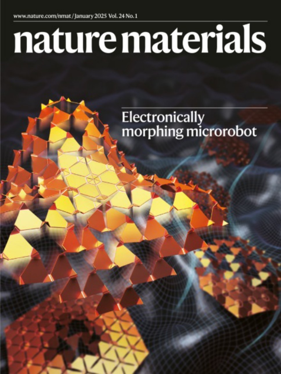 Nature Materials_Volume 24 Issue 1, January 2025 电子版PDF(图1)