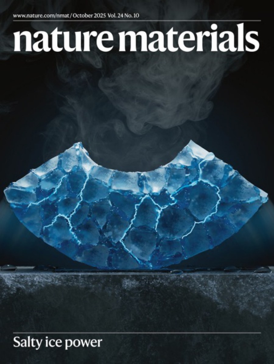 Nature Materials-Volume 24 Issue 10, October 2025 电子版PDF