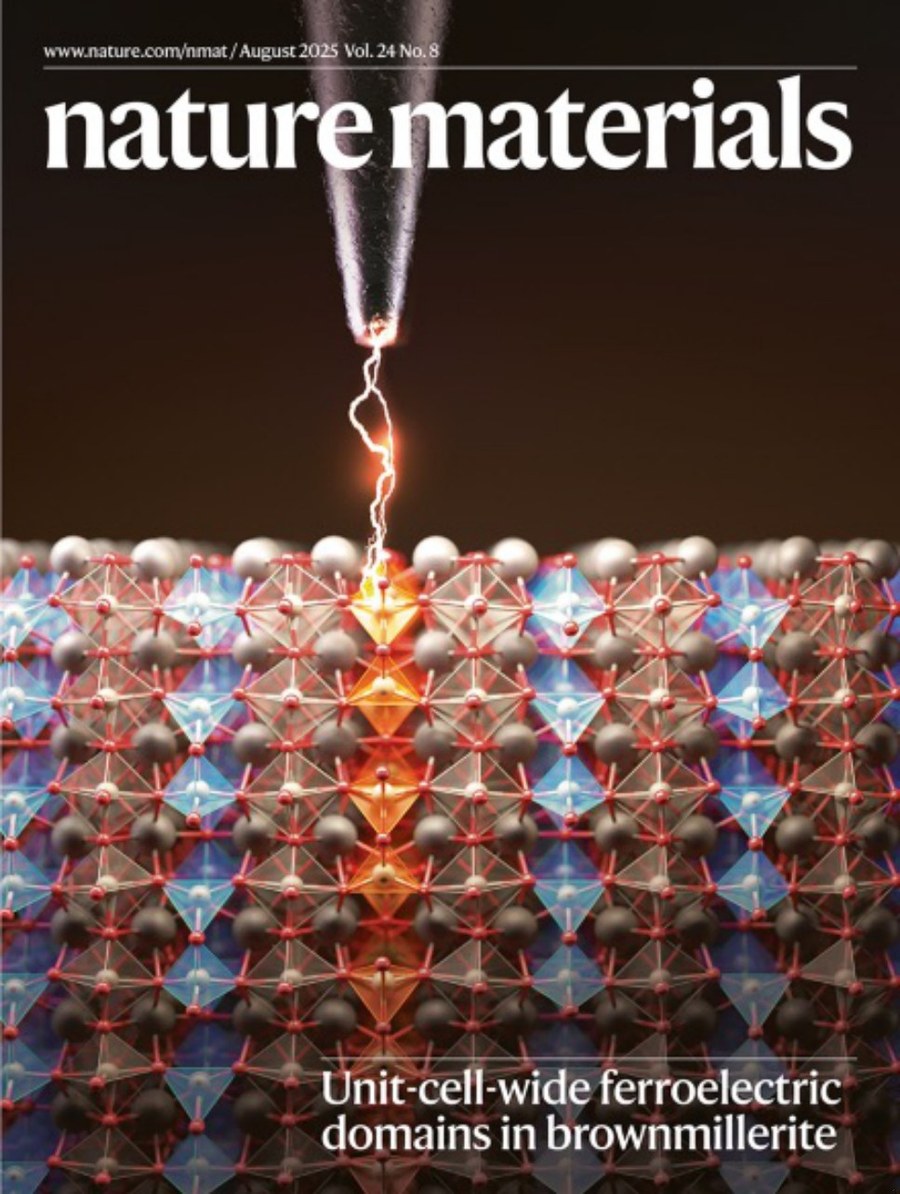 Nature Materials-Volume 24 Issue 8, August 2025 电子版PDF