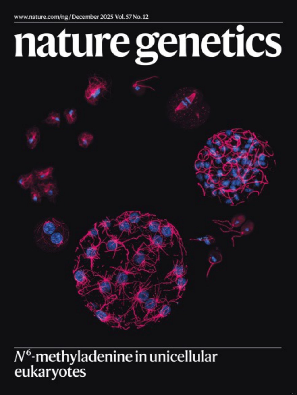 Nature Genetics-Volume 57 Issue 12, December 2025 电子版PDF(图1)