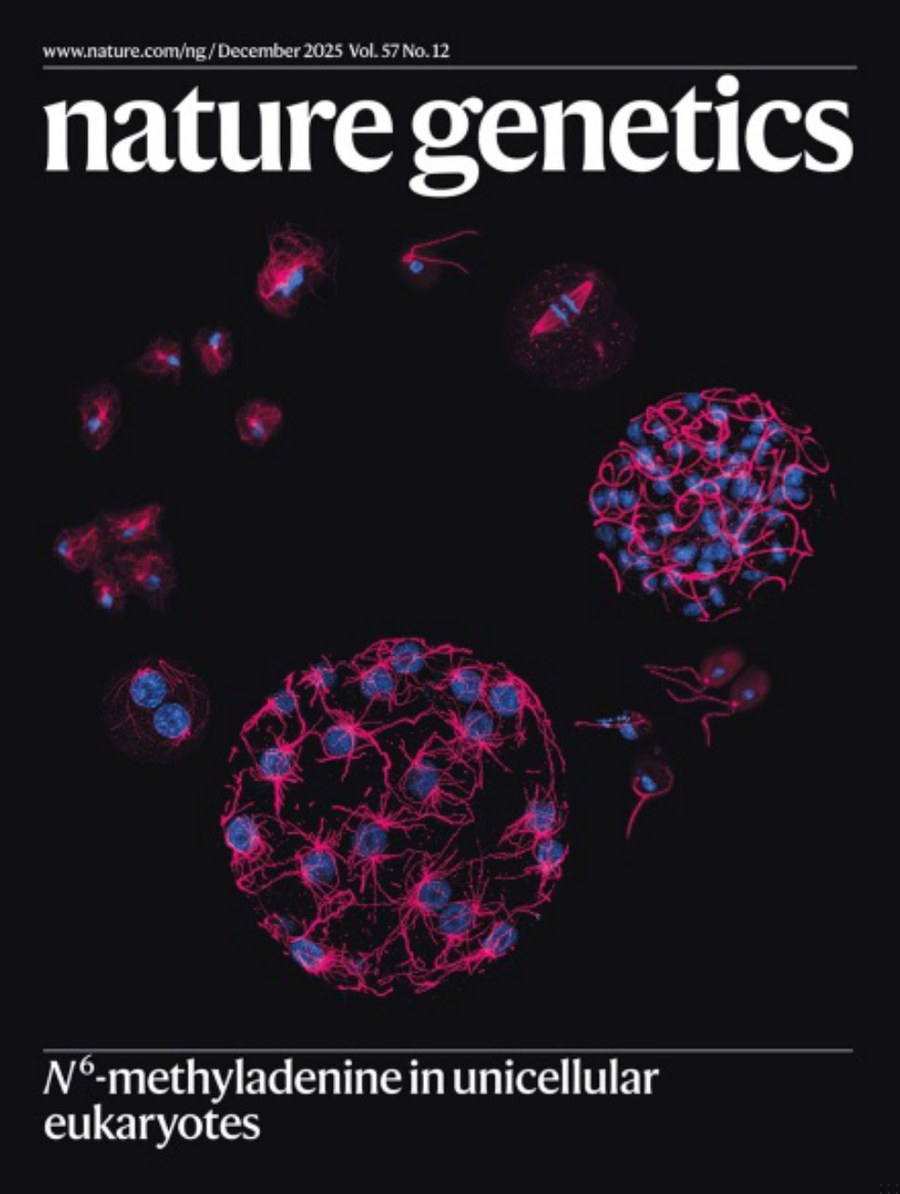 Nature Genetics-Volume 57 Issue 12, December 2025 电子版PDF