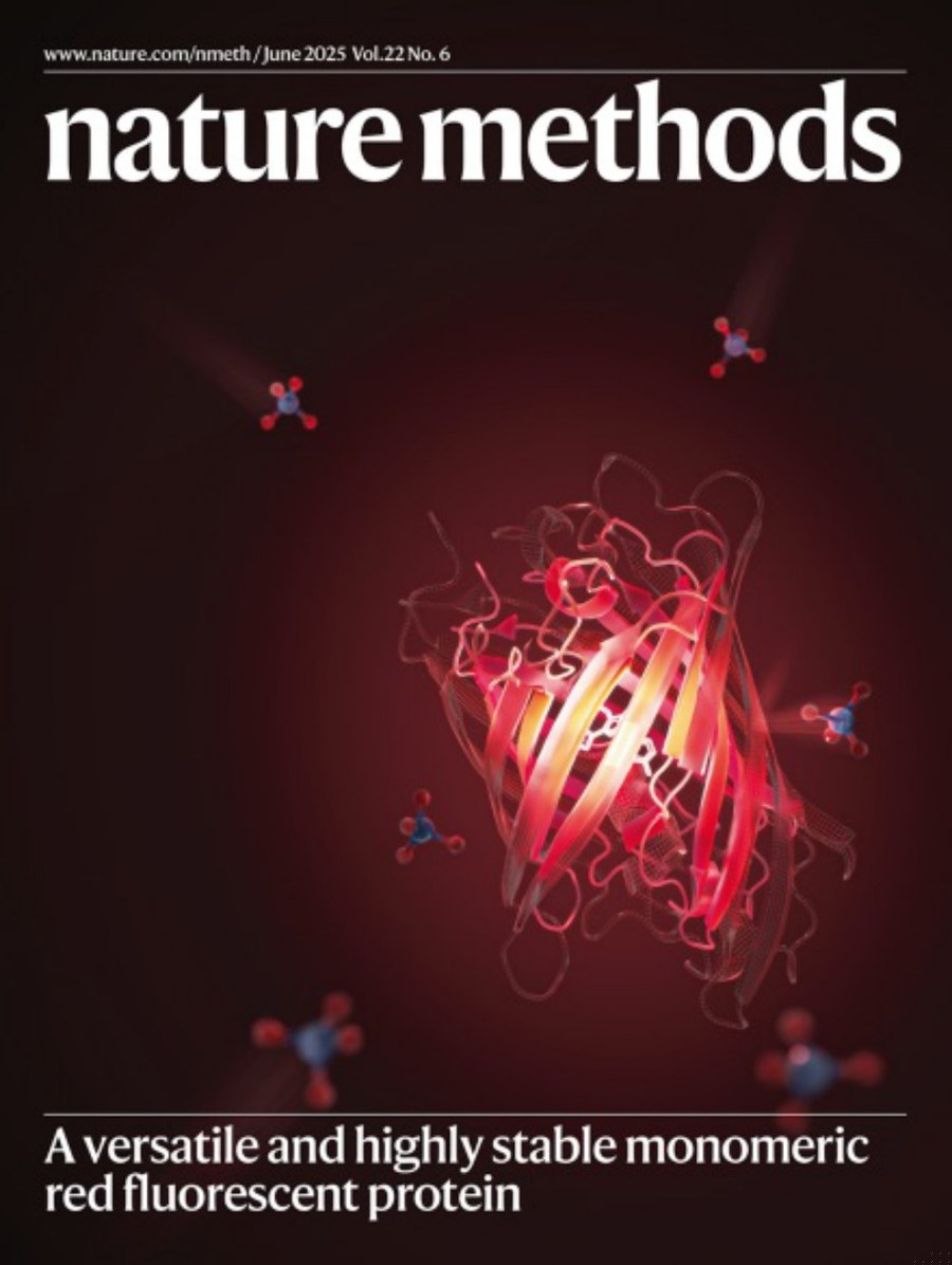 Nature Methods-Volume 22 Issue 6, June 2025 电子版PDF