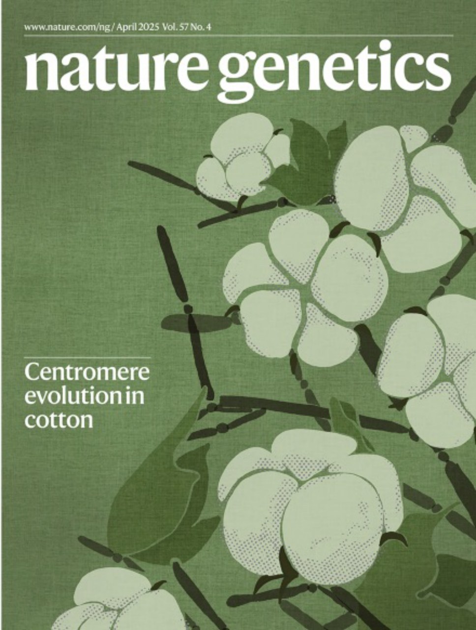 Nature Genetics_Volume 57 Issue 4, April 2025 电子版PDF(图1)