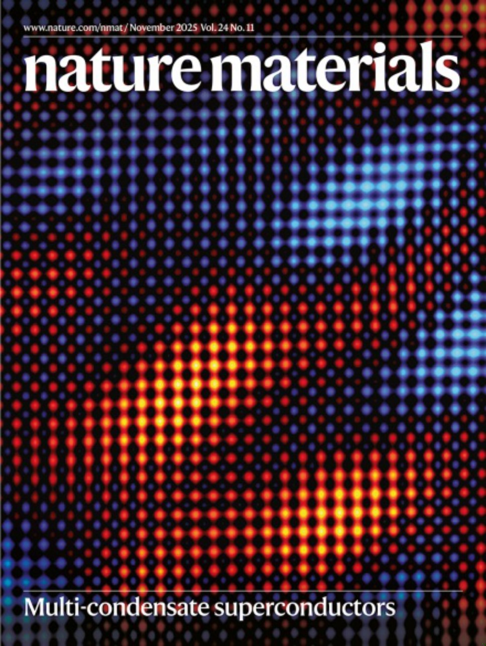 Nature Materials-Volume 24 Issue 11, November 2025 电子版PDF(图1)