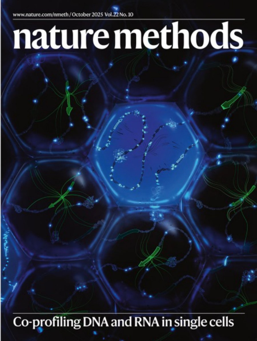 Nature Methods-Volume 22 Issue 10, October 2025 电子版PDF