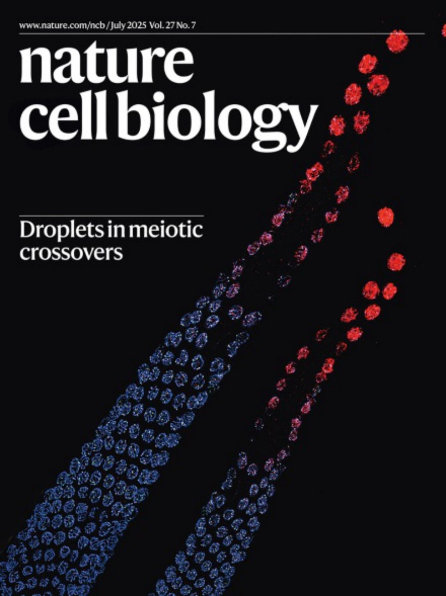 Nature cell biology-Volume 27 Issue 7, July 2025 电子版PDF