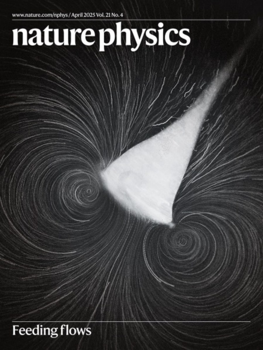 Nature Physics_Volume 21 Issue 4, April 2025 电子版PDF