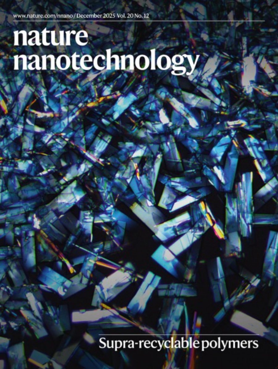 Nature Nanotechnology-Volume 20 Issue 12, December 2025 电子版PDF