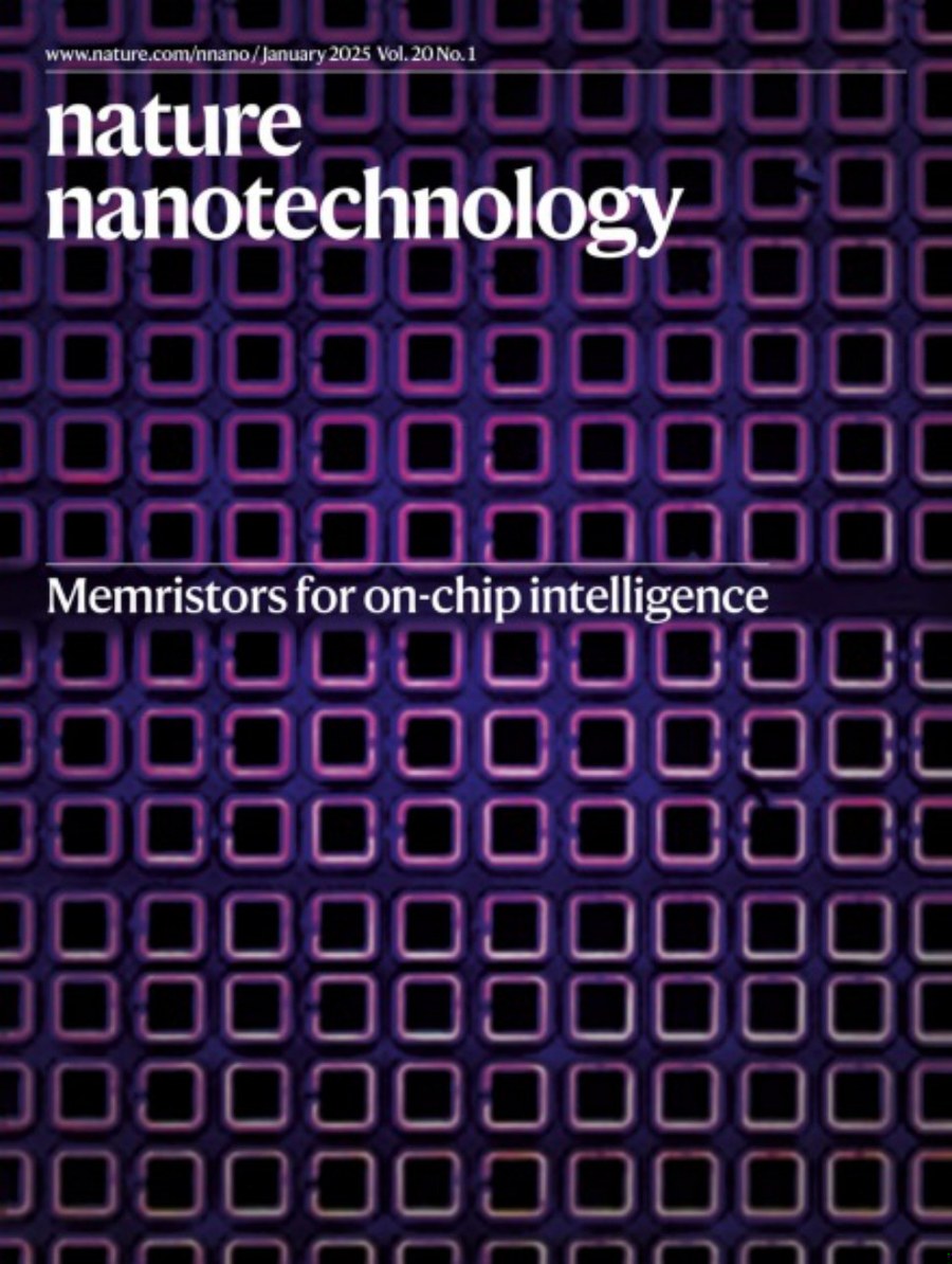 Nature Nanotechnology_Volume 20 Issue 1, January 2025 电子版PDF