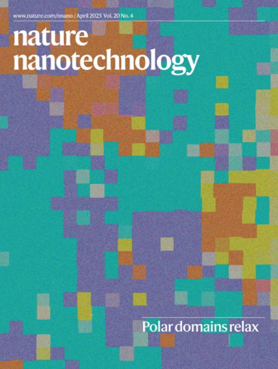 Nature Nanotechnology_Volume 20 Issue 4, April 2025 电子版PDF