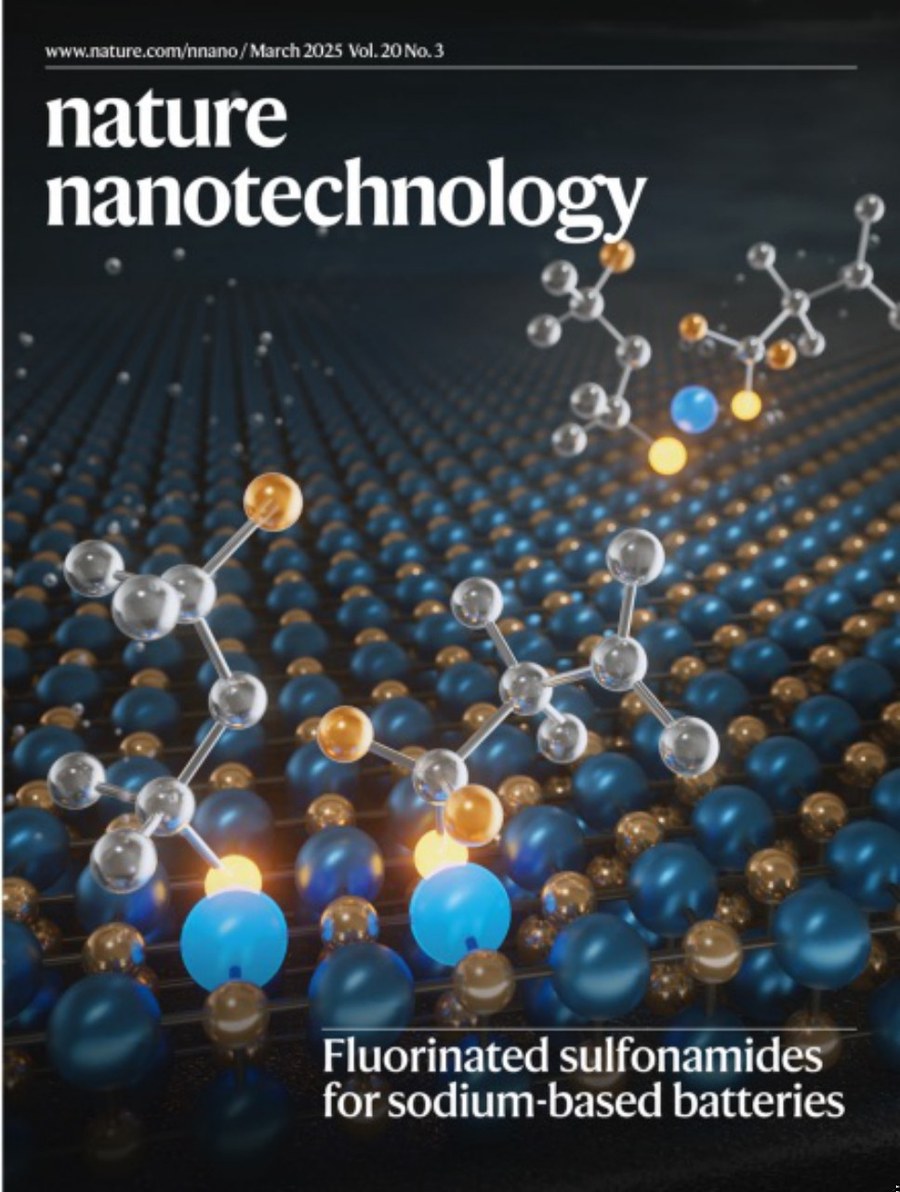 Nature Nanotechnology_Volume 20 Issue 3, March 2025 电子版PDF