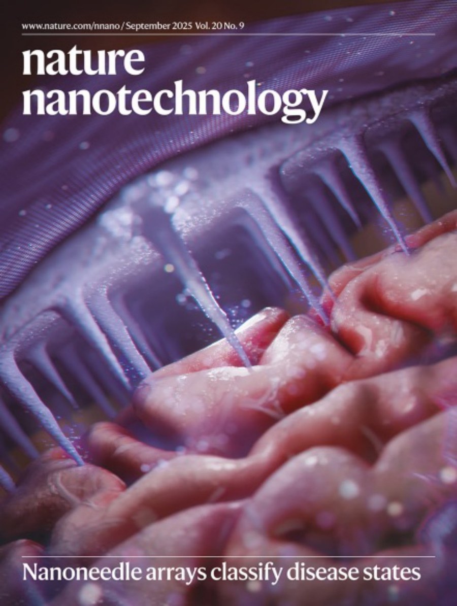 Nature Nanotechnology-Volume 20 Issue 9, September 2025 电子版PDF