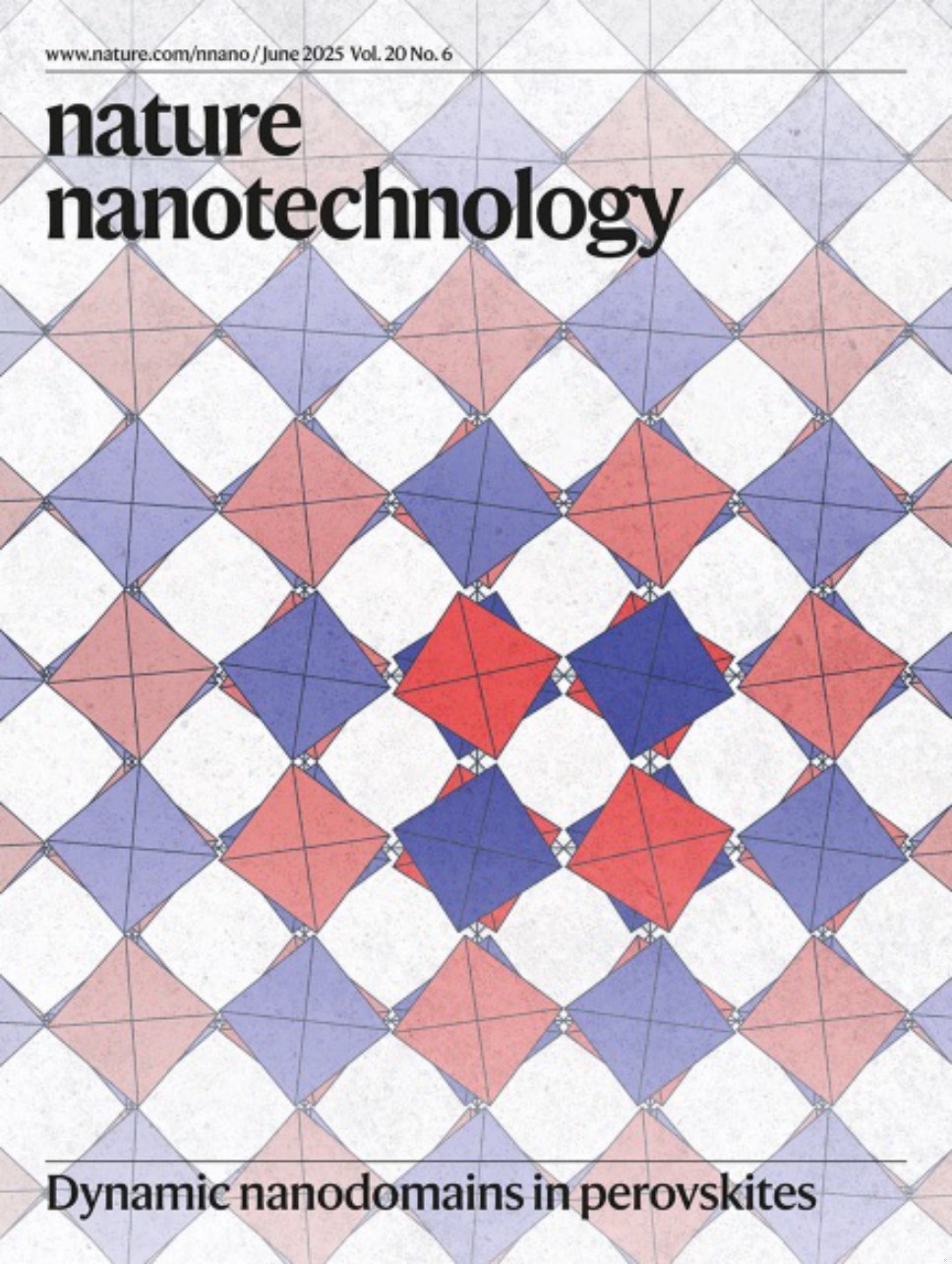 Nature Nanotechnology-Volume 20 Issue 6, June 2025 电子版PDF(图1)