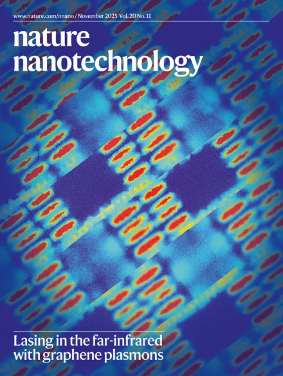 Nature Nanotechnology-Volume 20 Issue 11, November 2025 电子版PDF(图1)
